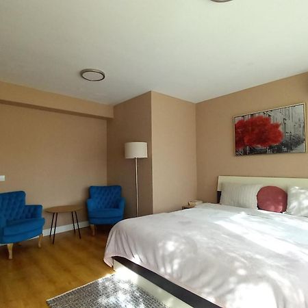 4 Seasons Apartments Bistriţa 外观 照片