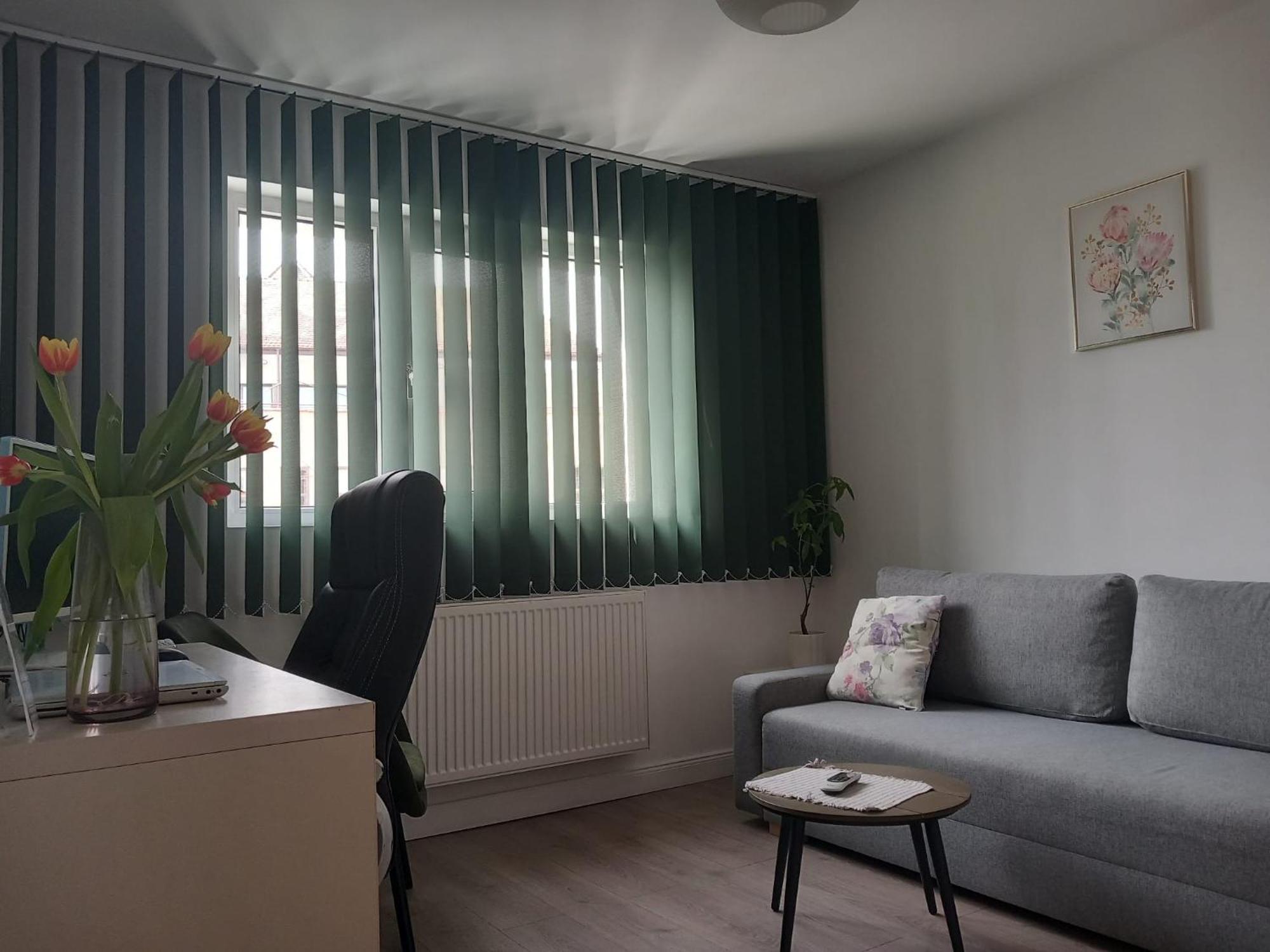 4 Seasons Apartments Bistriţa 外观 照片